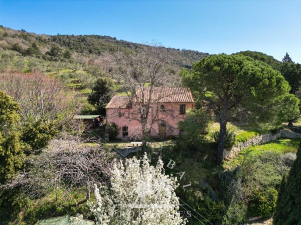 esavano in vendita a Tuoro sul Trasimeno