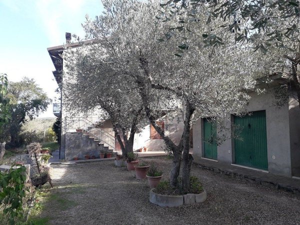 pentavano in vendita a Tuoro sul Trasimeno