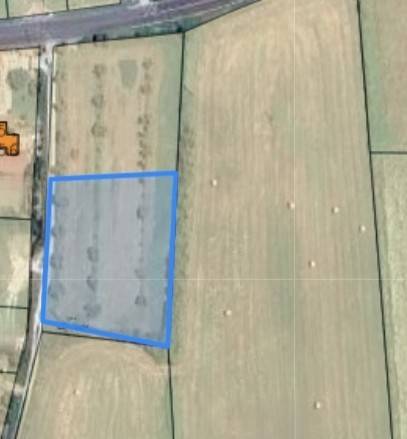 terreno agricolo in vendita a Tuoro sul Trasimeno