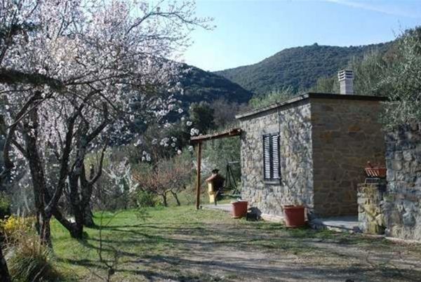 appartamento in vendita a Tuoro sul Trasimeno