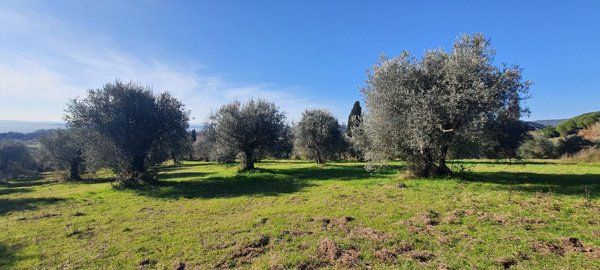 terreno edificabile in vendita a Tuoro sul Trasimeno