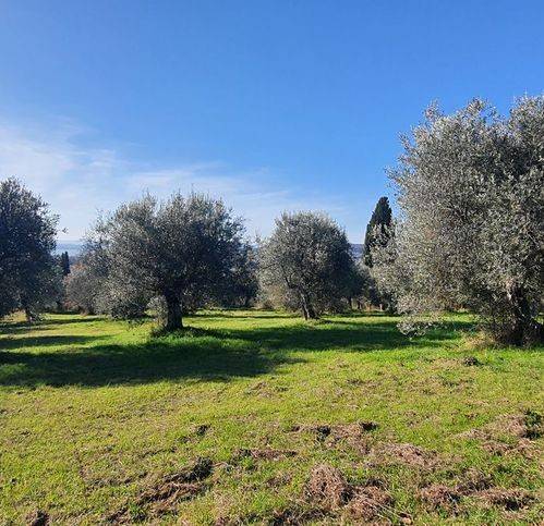 terreno edificabile in vendita a Tuoro sul Trasimeno