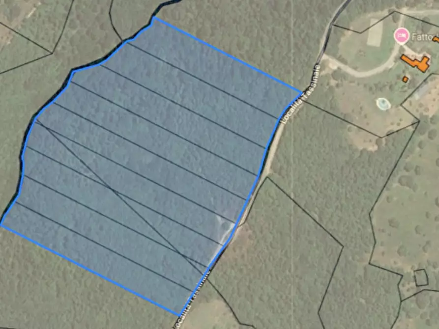 mansarda in vendita a Tuoro sul Trasimeno