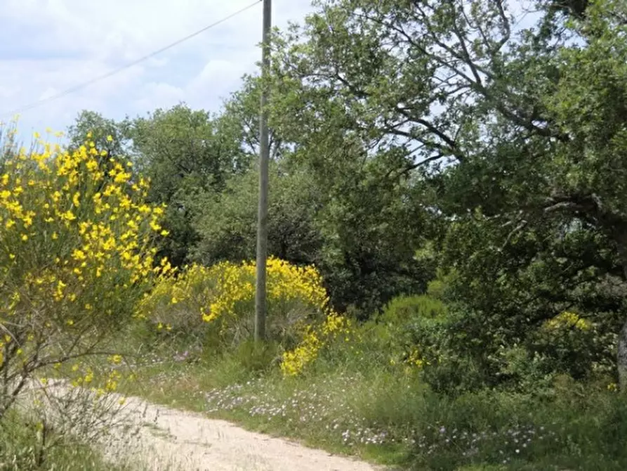 mansarda in vendita a Tuoro sul Trasimeno