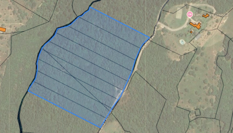 terreno agricolo in vendita a Tuoro sul Trasimeno