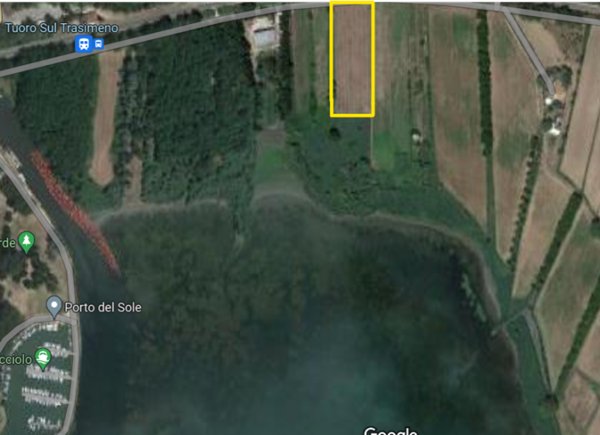 terreno agricolo in vendita a Tuoro sul Trasimeno