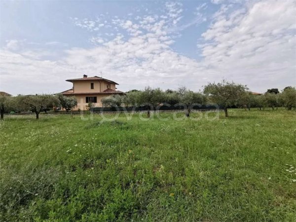 terreno agricolo in vendita a Tuoro sul Trasimeno