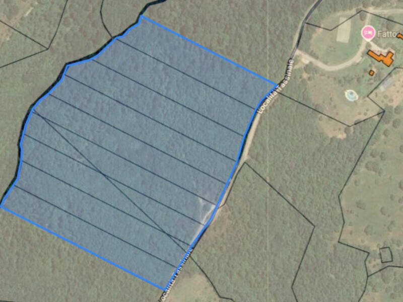 terreno agricolo in vendita a Tuoro sul Trasimeno