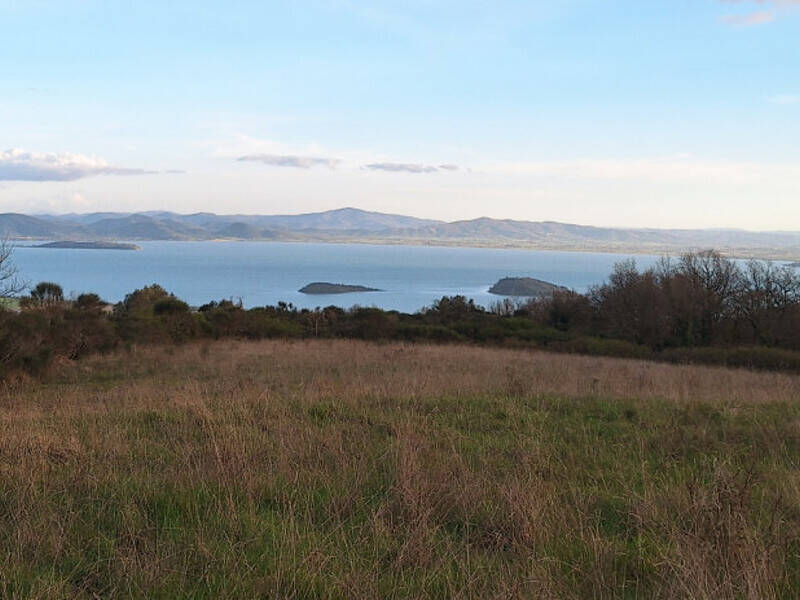terreno agricolo in vendita a Tuoro sul Trasimeno