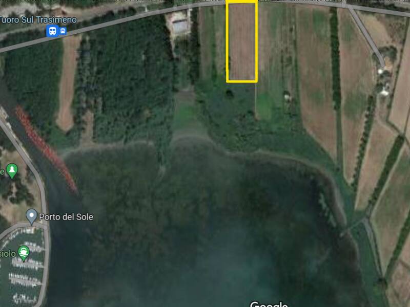 terreno agricolo in vendita a Tuoro sul Trasimeno