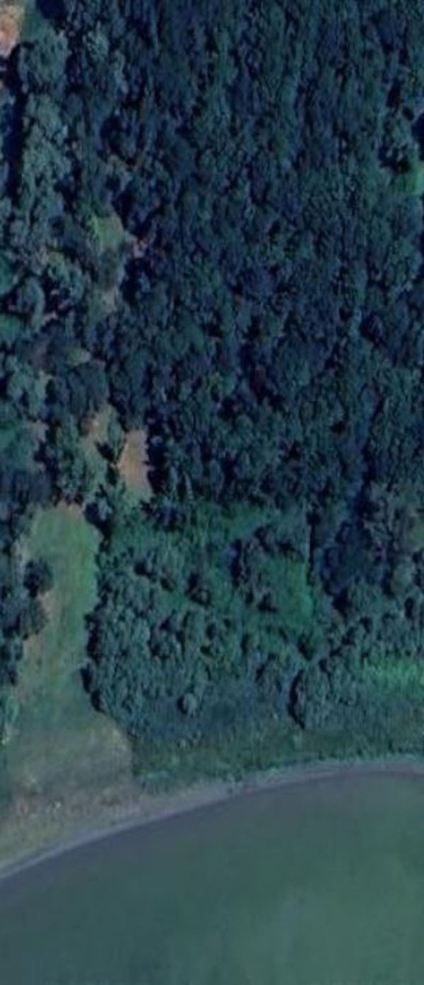 terreno agricolo in vendita a Tuoro sul Trasimeno