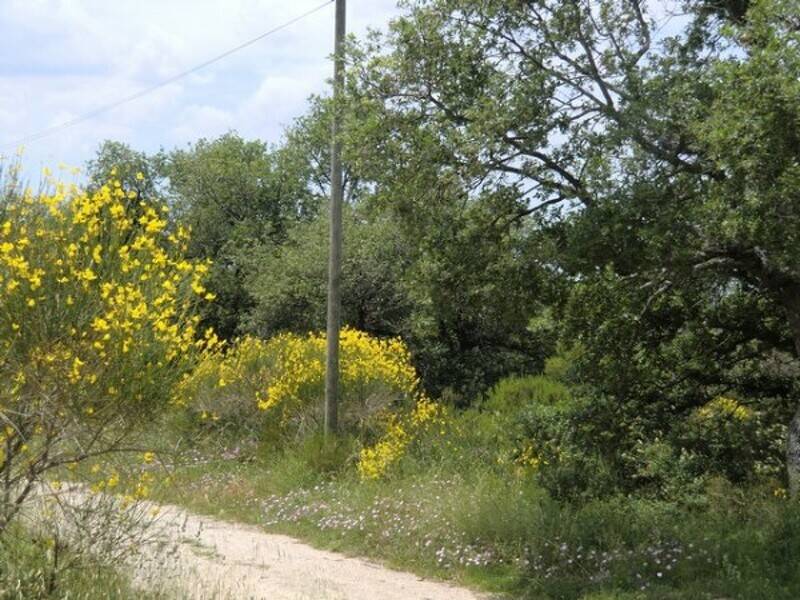 terreno edificabile in vendita a Tuoro sul Trasimeno
