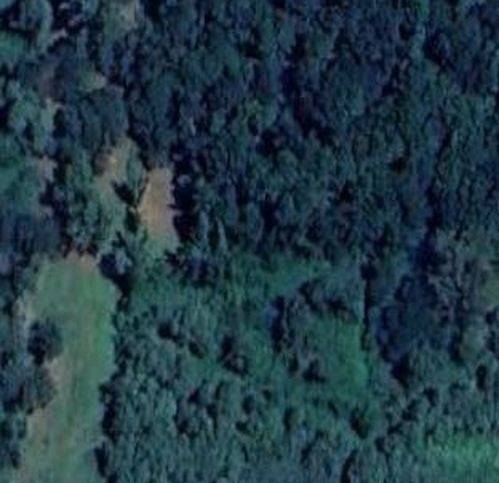 terreno agricolo in vendita a Tuoro sul Trasimeno