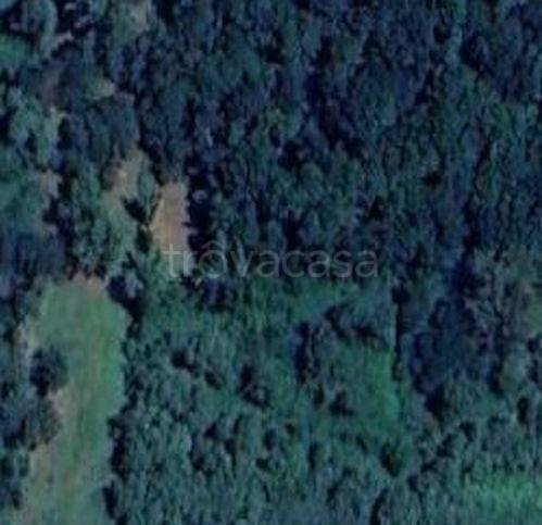 terreno agricolo in vendita a Tuoro sul Trasimeno