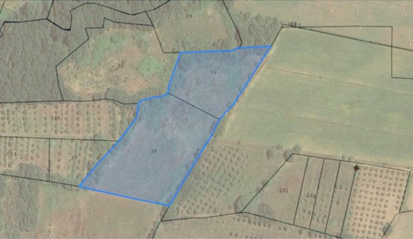 azienda agricola in vendita a Tuoro sul Trasimeno