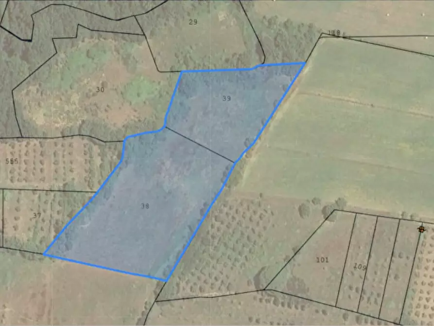 azienda agricola in vendita a Tuoro sul Trasimeno
