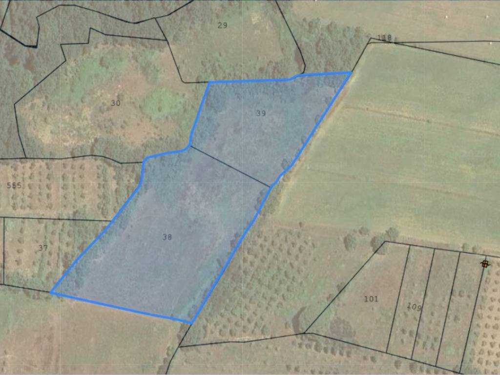 terreno agricolo in vendita a Tuoro sul Trasimeno
