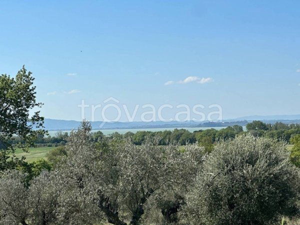 terreno agricolo in vendita a Tuoro sul Trasimeno