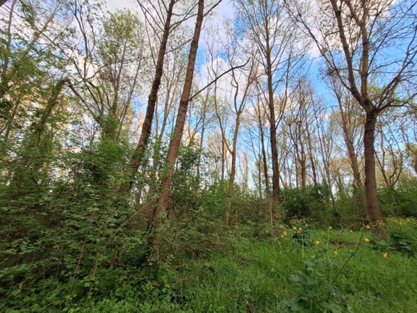 terreno edificabile in vendita a Tuoro sul Trasimeno