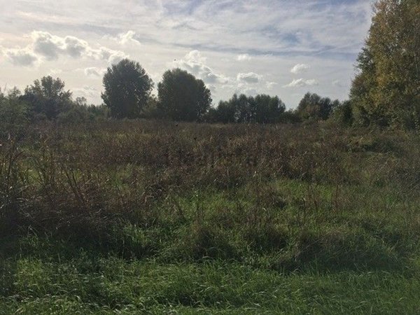 terreno agricolo in vendita a Tuoro sul Trasimeno