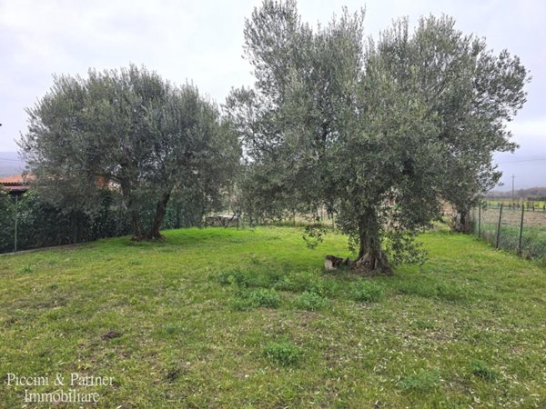 appartamento in vendita a Tuoro sul Trasimeno in zona Vernazzano