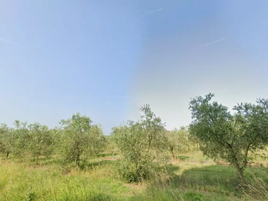 appartamento in vendita a Tuoro sul Trasimeno