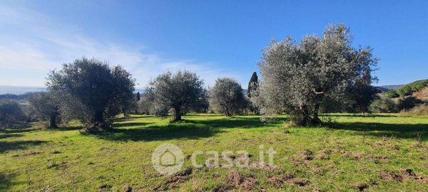 terreno edificabile in vendita a Tuoro sul Trasimeno