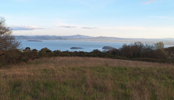 terreno in vendita a Tuoro sul Trasimeno in zona Vernazzano