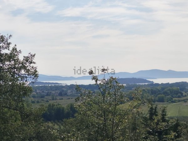 terreno in vendita a Tuoro sul Trasimeno
