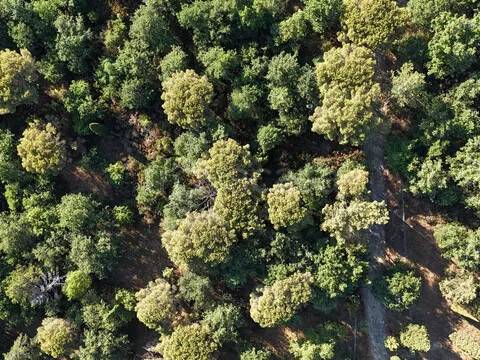 terreno in vendita a Tuoro sul Trasimeno in zona Vernazzano