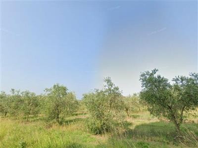 appartamento in vendita a Tuoro sul Trasimeno