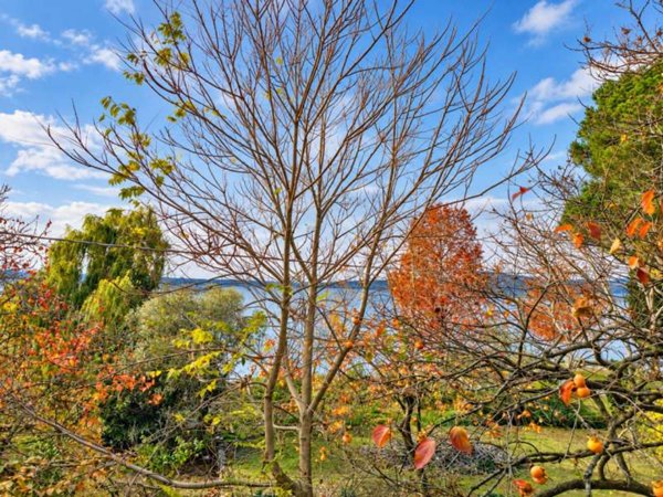casa indipendente in vendita a Tuoro sul Trasimeno in zona Isola Maggiore
