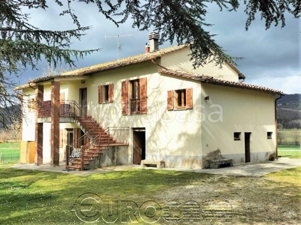 casa indipendente in vendita ad Umbertide in zona Spedalicchio
