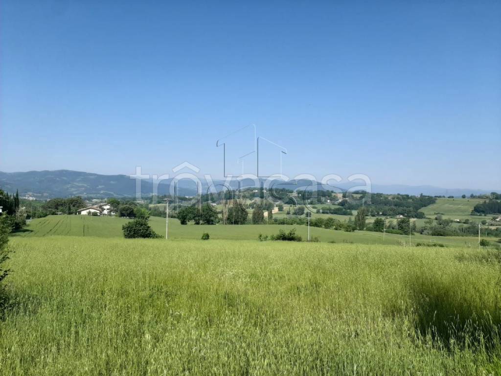 terreno agricolo in vendita ad Umbertide