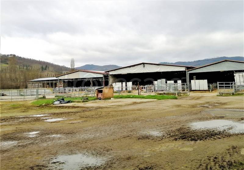 immagine annuncio 0 di 1