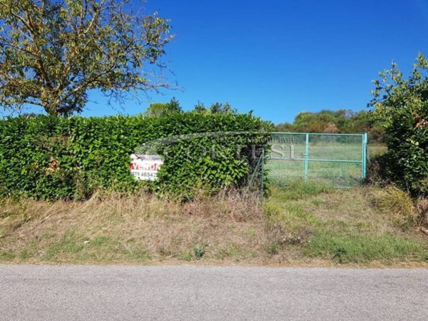 terreno agricolo in vendita ad Umbertide