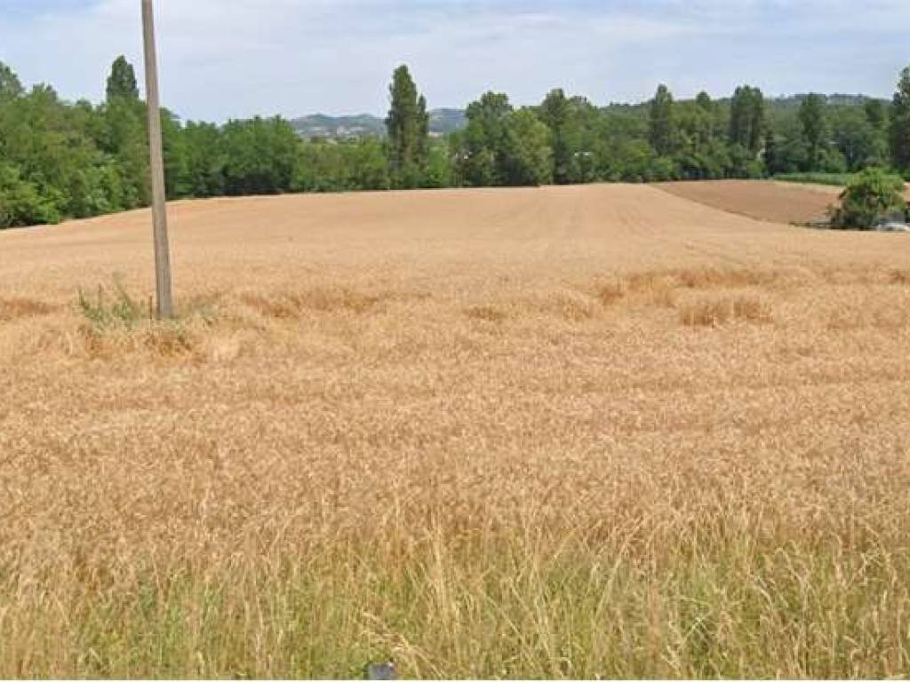 terreno agricolo in vendita ad Umbertide in zona Montecastelli