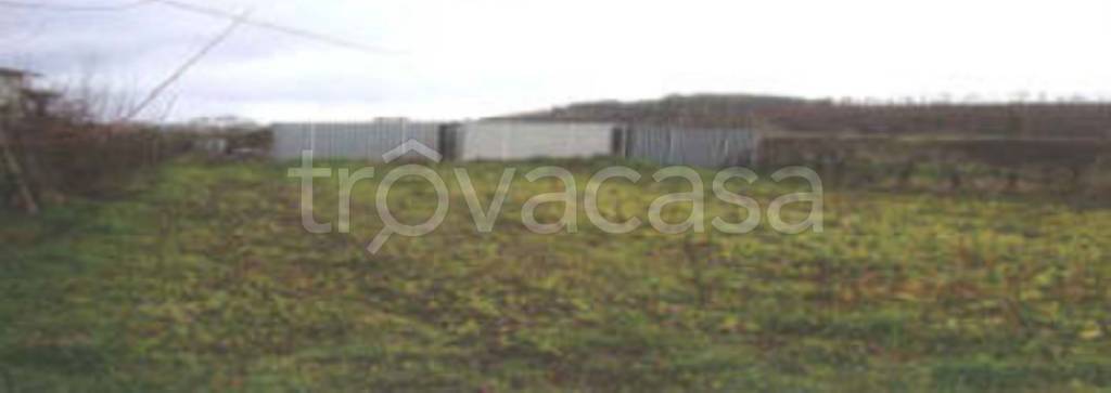 terreno agricolo in vendita ad Umbertide in zona Montecastelli