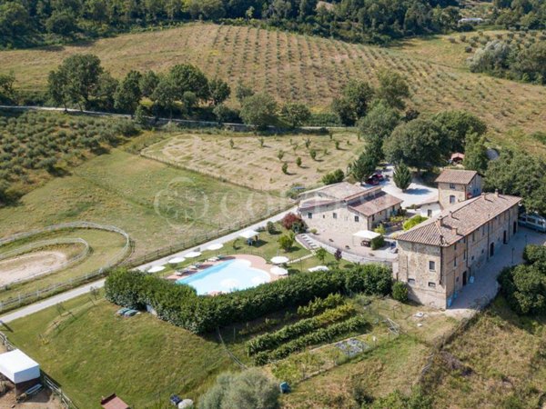 azienda agricola in vendita ad Umbertide