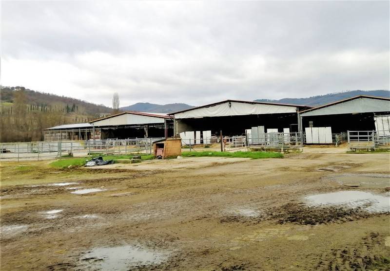 terreno agricolo in vendita ad Umbertide