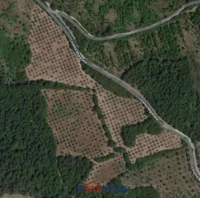 terreno agricolo in vendita ad Umbertide in zona Molino Vitelli