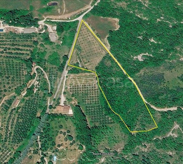 terreno agricolo in vendita ad Umbertide