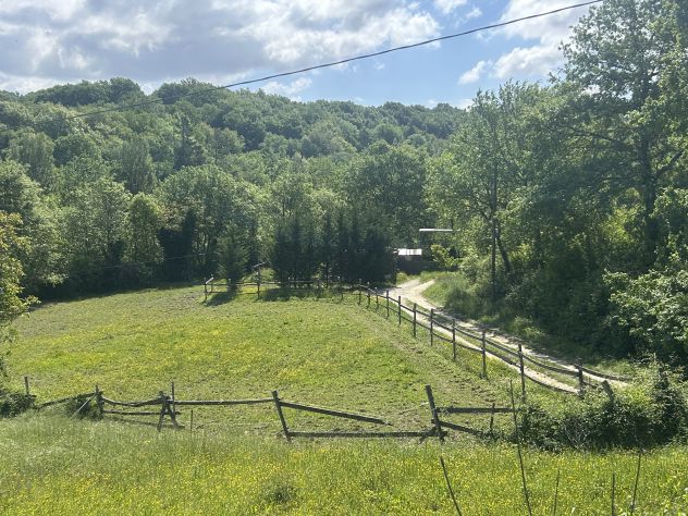 terreno agricolo in vendita ad Umbertide