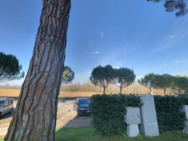 appartamento in vendita ad Umbertide in zona Badia