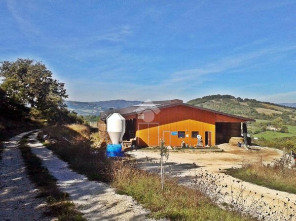 appartamento in vendita a Valfabbrica in zona Casacastalda