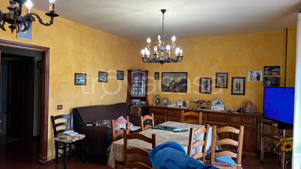 immagine annuncio 0 di 15