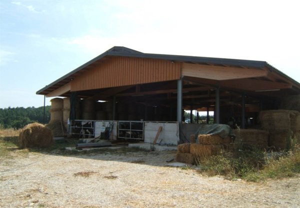 azienda agricola in vendita a Valfabbrica