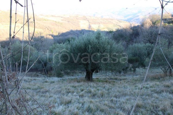 casa indipendente in vendita a Valfabbrica