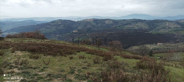 terreno agricolo in vendita a Valfabbrica
