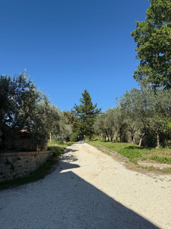 appartamento in vendita a Valfabbrica